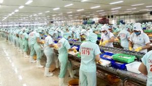 Làm sao để tìm việc lao động phổ thông tại Hà Nội hiệu quả